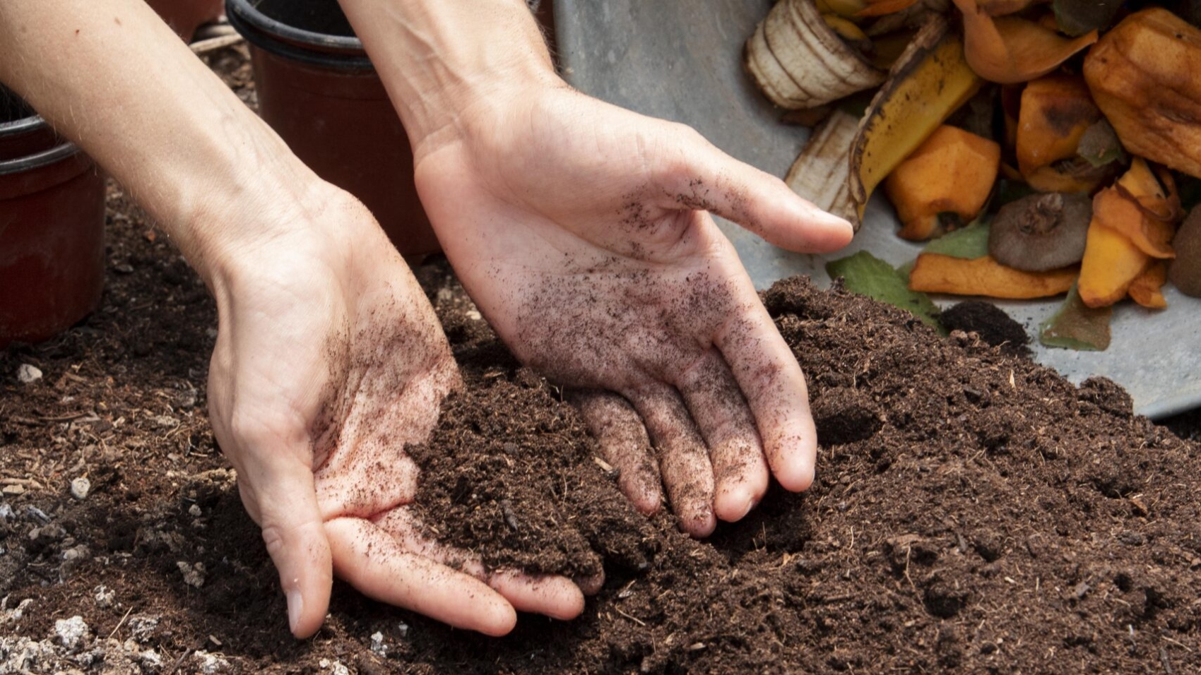 compost-concepto-de-naturaleza-muerta (1)