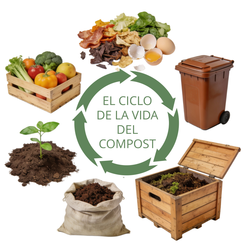 Infografía del ciclo del compostaje que muestra cómo los residuos orgánicos se transforman en abono natural