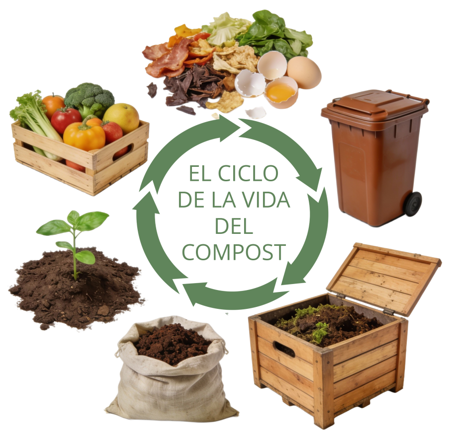 Infografía del ciclo del compostaje que muestra cómo los residuos orgánicos se transforman en abono natural