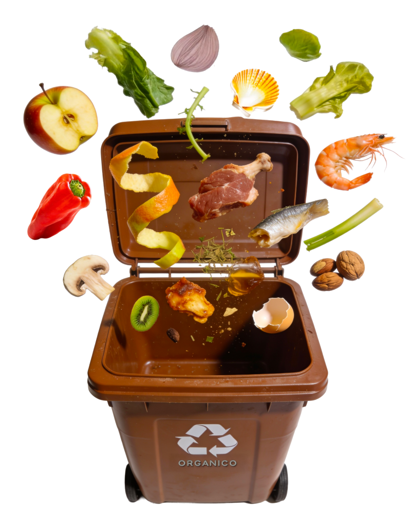 Restos de alimentos y residuos orgánicos aptos para compostaje en el cubo marrón